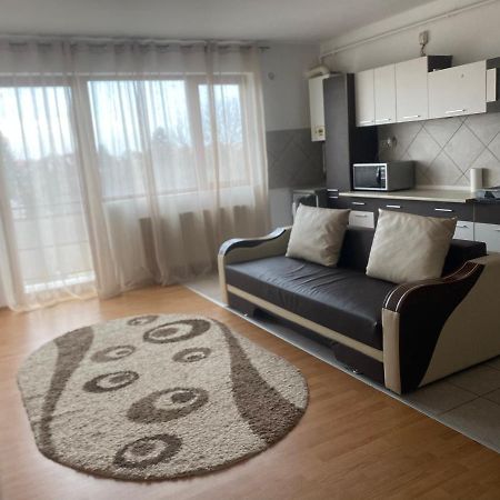 2Br Cosy Apart Сату Маре Екстериор снимка